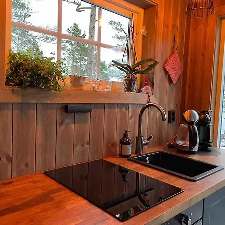 Chalet Cosy Between Lake&mountain Treungen