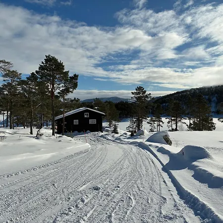 Cosy Between And Mountain * Treungen