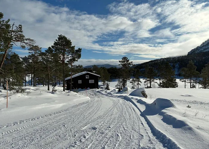 Cosy Between And Mountain * Treungen